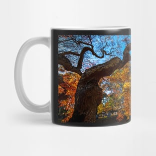 Mount Auburn Cemetery Japanese Maple Tree Fall Foliage Cambridge MA Mug